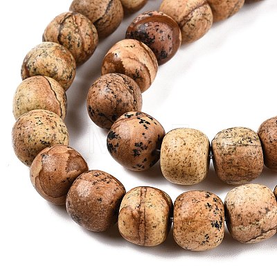 Natural Picture Jasper Beads Strands G-T138-140-1