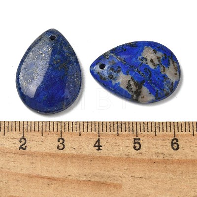 Natural Lapis Lazuli Pendants G-Z071-03H-1