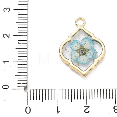 Alloy Epoxy Resin Pendants AL-Z001-08G-02-1