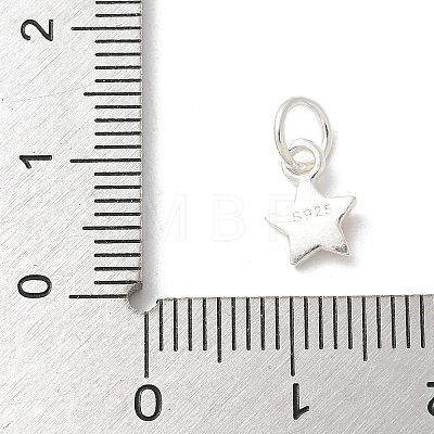 S925 Sterling Silver Pendant STER-H115-04B-S-1