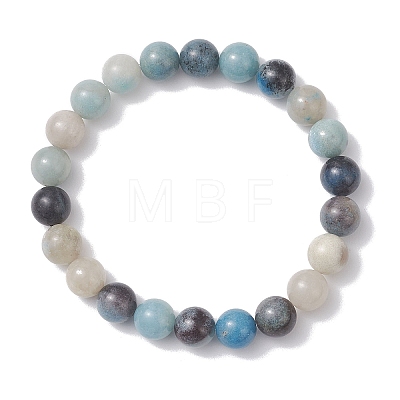 Round Natural Trolleite Beads Stretch Bracelets for Women BJEW-JB12731-1
