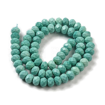 Dyed Natural Howlite Beads Strands G-G023-A01-01C-1