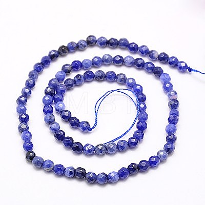 Natural Sodalite Beads Strands X-G-G545-16-1