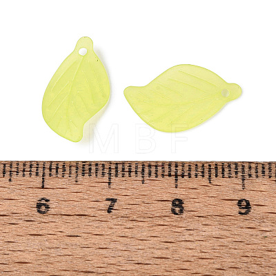 Transparent Acrylic Pendants FACR-R007-12-01-1