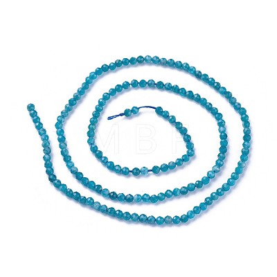 Natural Apatite Beads Strands G-F619-13B-2mm-1
