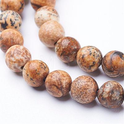 Gemstone Beads Strands GSR6mmC016-1