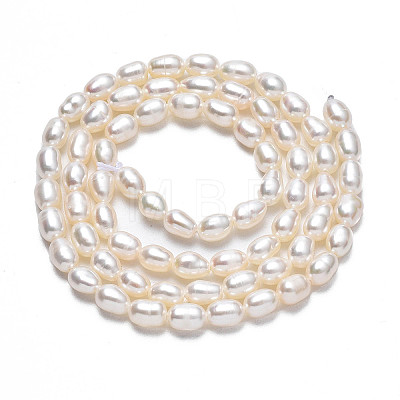 Natural Cultured Freshwater Pearl Beads Strands PEAR-N012-04D-1