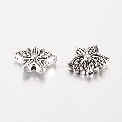 Tibetan Style Alloy Beads LS-TIBEB-K026-04-1