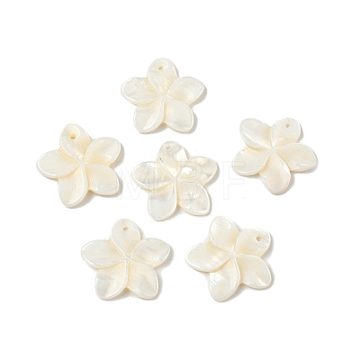Natural Freshwater Shell Carved Pendants SHEL-K006-59-1