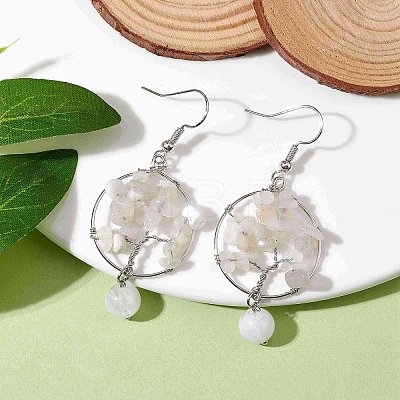 Natural Gemstone Dangle Earrings EJEW-JE05747-1