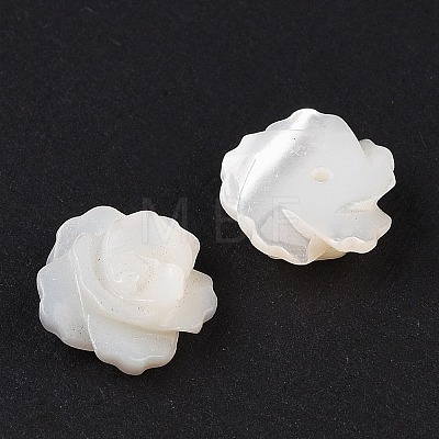 Natural White Shell Beads SSHEL-C012-06-1