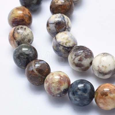 Natural Pietersite Beads Strands G-K256-49-10mm-1