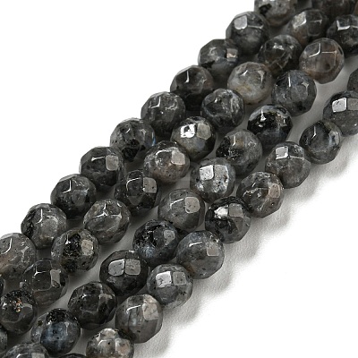 Natural Larvikite Beads Strands G-E571-A09-04-1