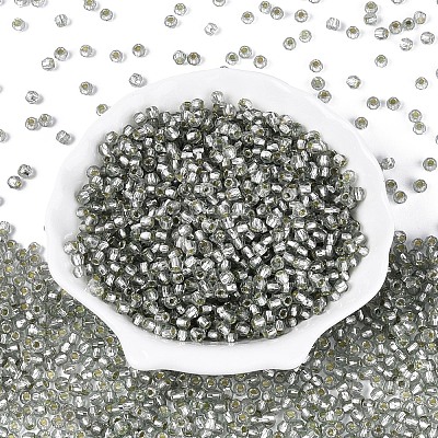 Silver Lined Glass Seed Beads SEED-T007-18A-03-1