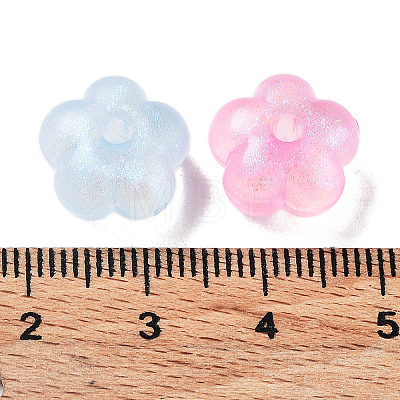 Transparent Acrylic Beads OACR-Z013-18-1