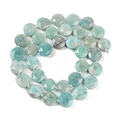 Natural Amazonite Beads Strands G-C116-A23-01A-1