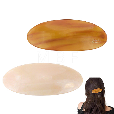 2Pcs 2 Colors Resin and Iron Hair Barrettes PHAR-WR0001-07-1