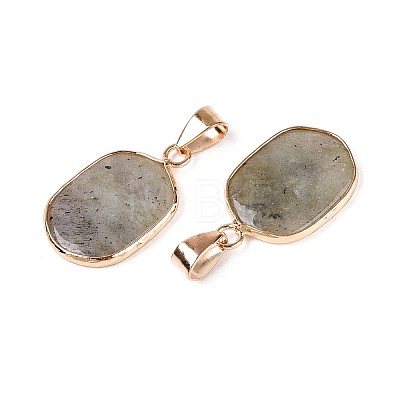 Natural Labradorite Pendants G-N349-04E-G-1