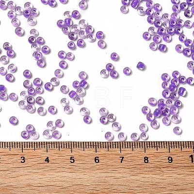 12/0 Transparent Glass Seed Beads SEED-F003-03C-09-1