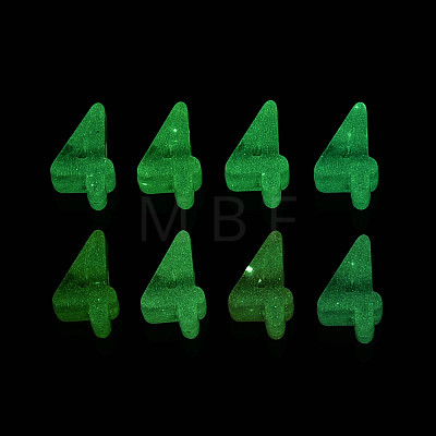 Luminous Frosted Transparent Acrylic Beads TACR-T029-21E-1