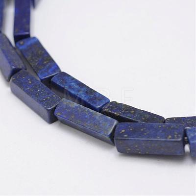 Natural Lapis Lazuli Beads Strands G-E342-11-1