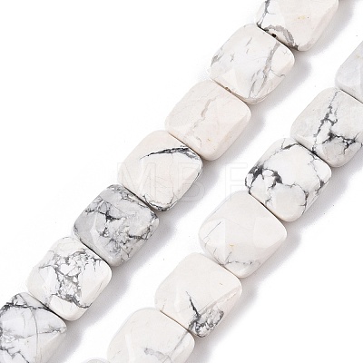 Natural Howlite Beads Strands G-T138-157-1