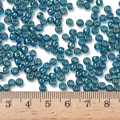 TOHO 6/0 Round Beads X-SEED-TR06-0167BD-1