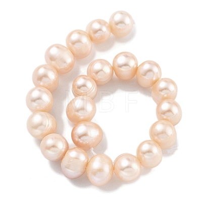 Natural Cultured Freshwater Pearl Beads Strands PEAR-C003-19B-1