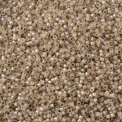 MIYUKI Delica Beads SEED-JP0008-DB1731-1