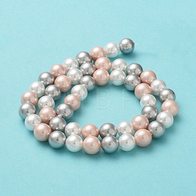 Shell Pearl Bead Strands BSHE-L017-20-1