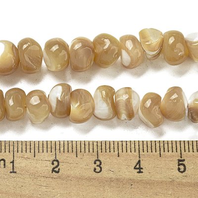 Natural Trochus Shell Beads Strands BSHE-G039-01A-1