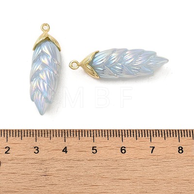 Rainbow Iridescent Plating Resin Pendants RESI-C047-03F-G-1