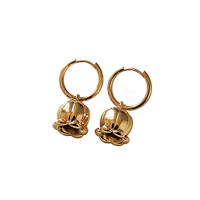 Brass Hoop Earrings for Women WG021FE-01-1