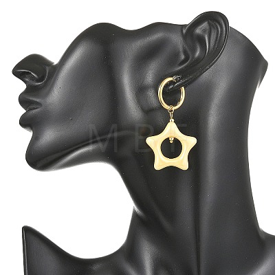Acrylic & 202 Stainless Steel Stud Earrings EJEW-JE07448-1