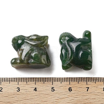 Natural Indian Agate Carved Figurines DJEW-L023-E11-1