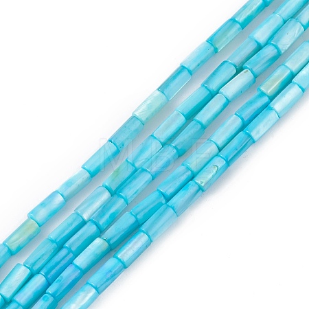 Natural Freshwater Shell Dyed Beads Strands SHEL-M018-11-04-1