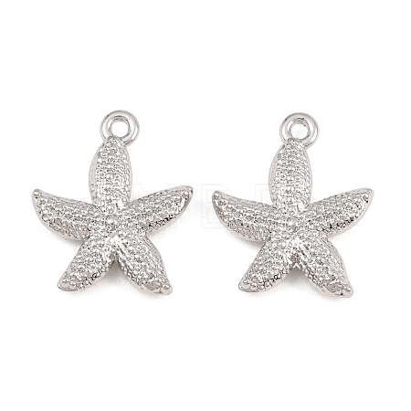 Alloy Pendants RB-CBA83D5-19P-1