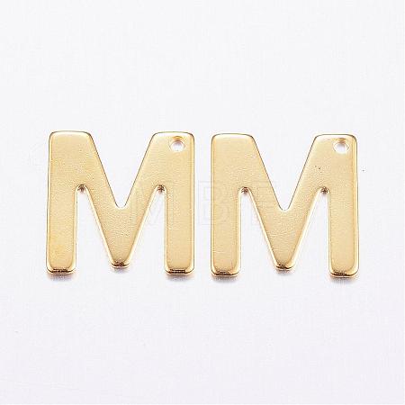 304 Stainless Steel Charms STAS-P141-M-1