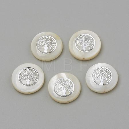 Natural Freshwater Shell Beads SHEL-Q011-006P-1
