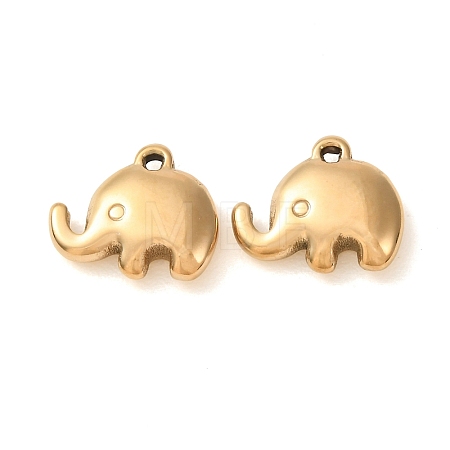 304 Stainless Steel Charms SA-D002-03G-1