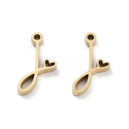 304 Stainless Steel Charms STAS-M327-02G-J-1