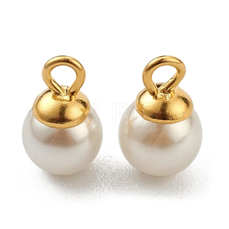 304 Stainless Steel Charms STAS-Z009-02D-G-1