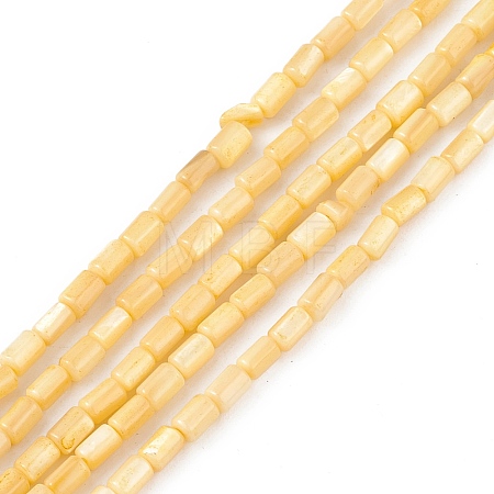 Natural Freshwater Shell Dyed Beads Strands SHEL-M018-12-01-1