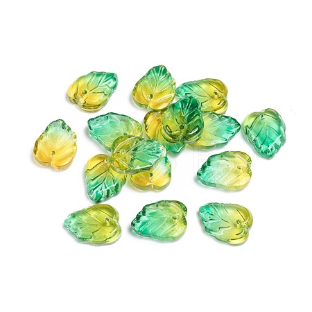 Two-Tone Transparent Glass Charms X-GLAA-H016-15P-1