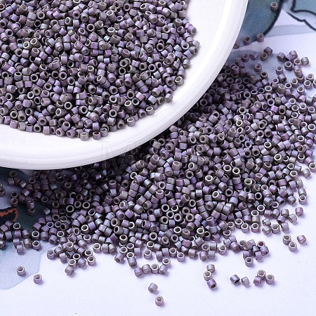 MIYUKI Delica Beads SEED-MY11-DB1065-1