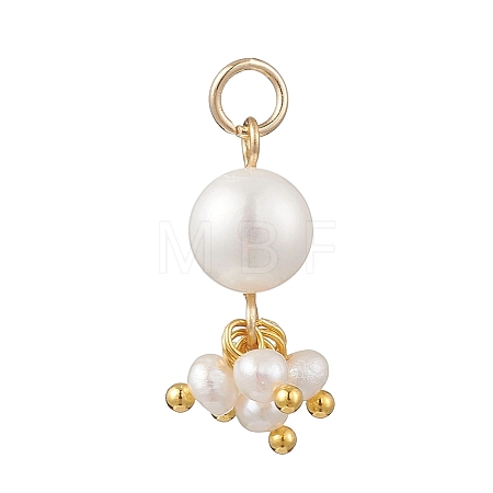 Potato Natural Cultured Freshwater Pearl Pendants PALLOY-JF04749-03-1
