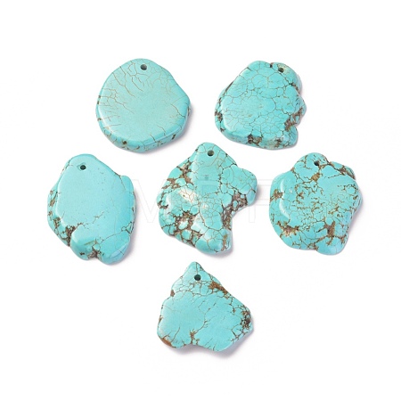 Natural Howlite Pendants TURQ-L031-020-1