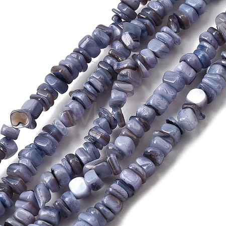 Natural Freshwater Shell Beads SHEL-B003-01G-1