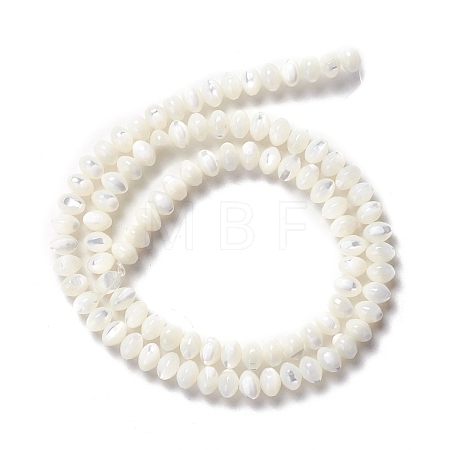 Natural Trochid Shell/Trochus Shell Beads Strands SSHEL-O001-24A-02-1