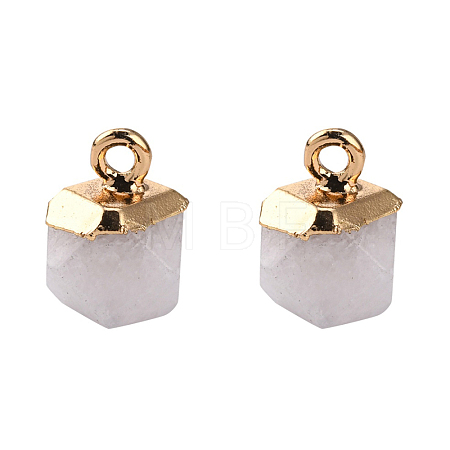 Natural White Jade Charms G-S359-015I-1